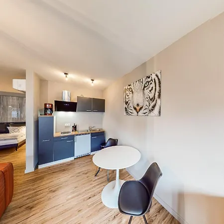 Apartment Amazing In With Kitchen Klink